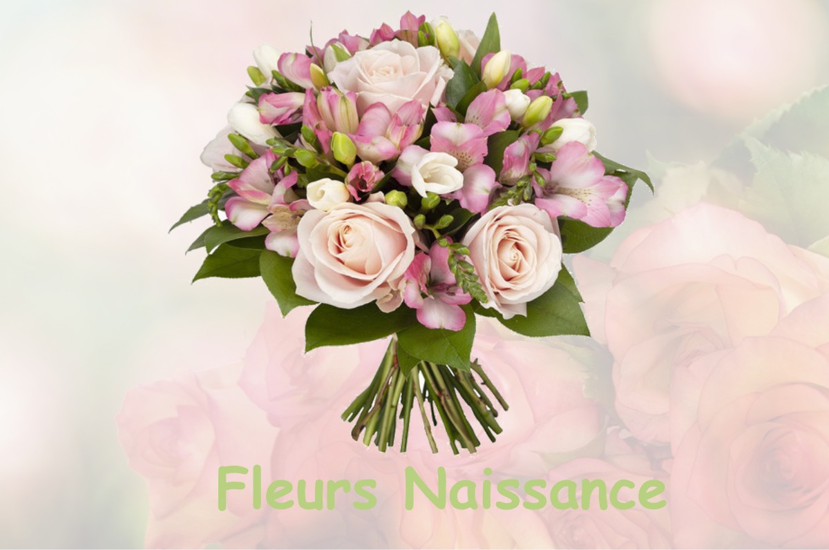 fleurs naissance CLERY-SAINT-ANDRE