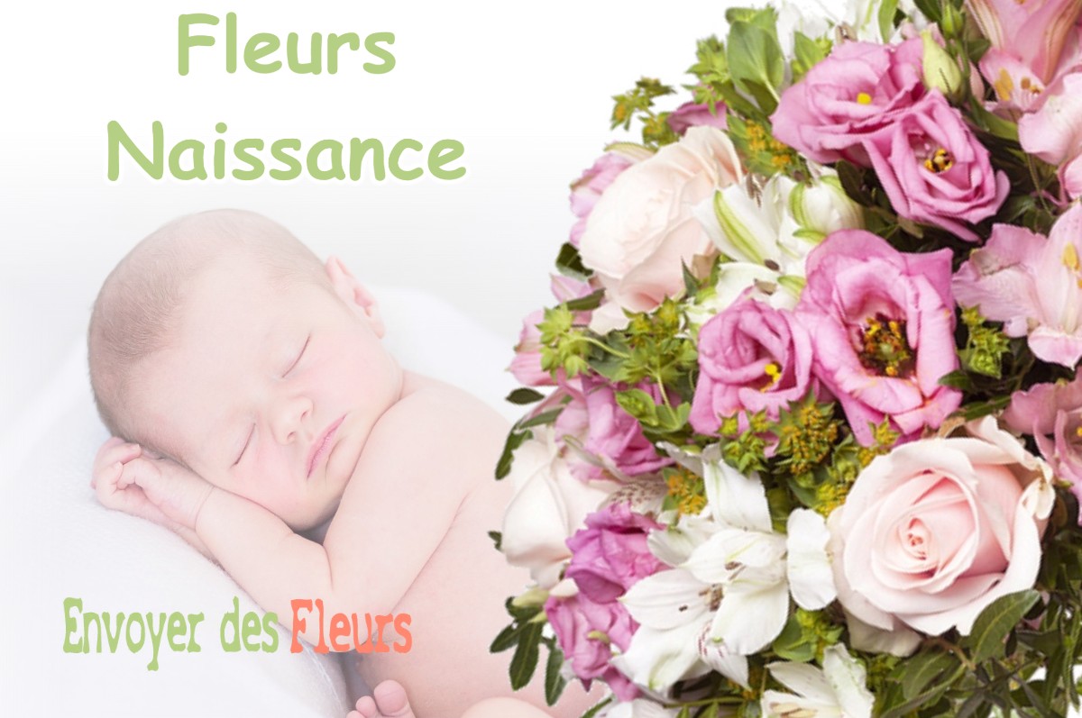 lIVRAISON FLEURS NAISSANCE à CLERY-SAINT-ANDRE