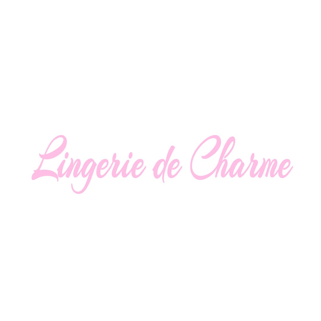 LINGERIE DE CHARME CLERY-SAINT-ANDRE